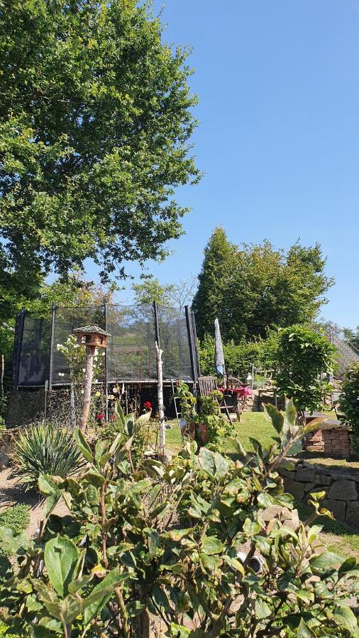 Frankes Lodge Apartment Mit Garten Und Pool, 6 Einzelbetten, Parkplatz Έσσεν Εξωτερικό φωτογραφία